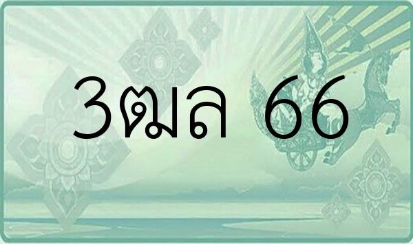 3ฒล 66